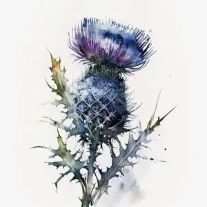 Water Color Scottish Thistle