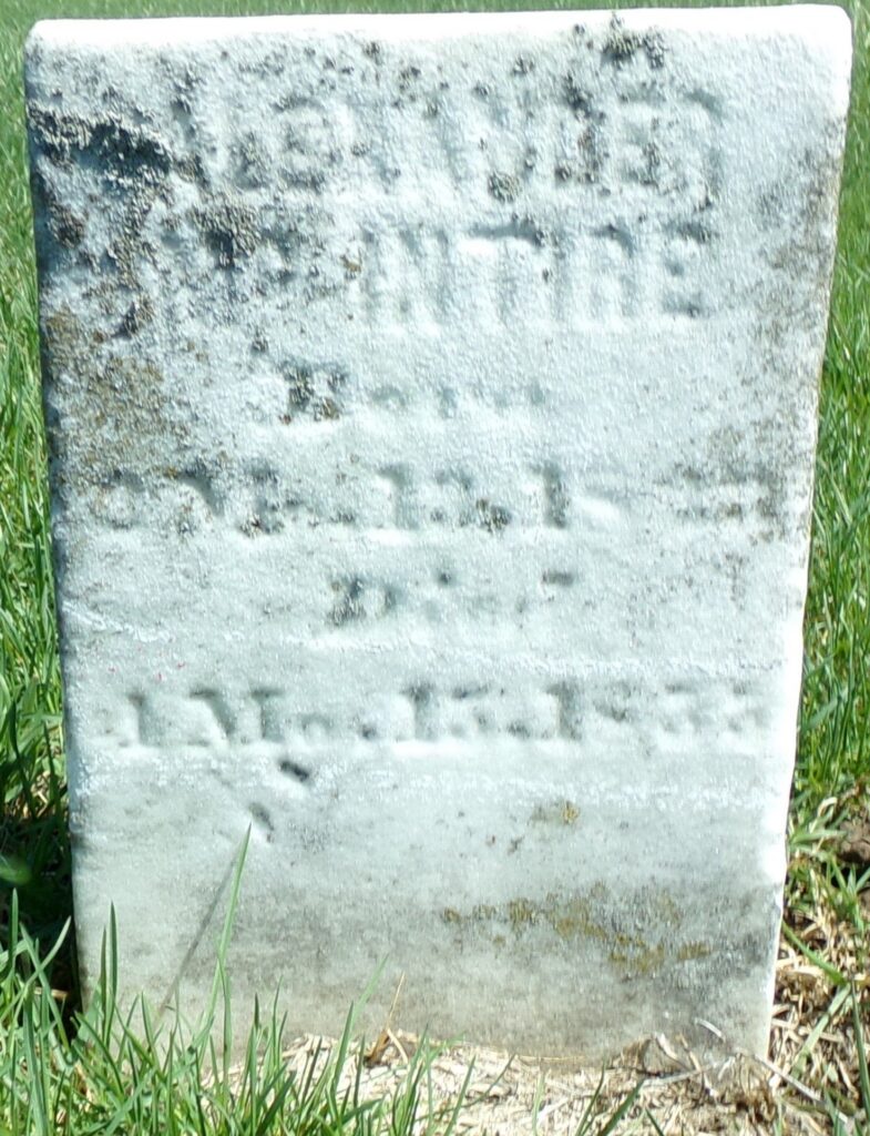 Weathered gray gravestone in tall grass with a mossy, unreadable inscription.