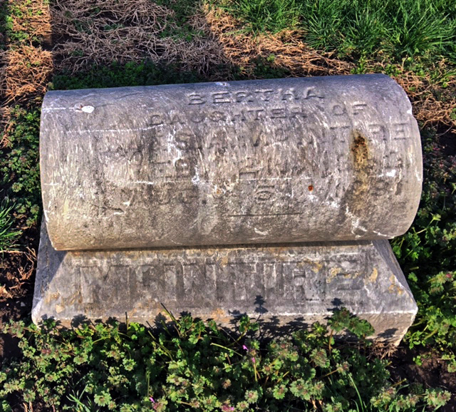 Weathered stone grave marker with faded inscriptions on a curved top, set on a rectangular base amid green plants.